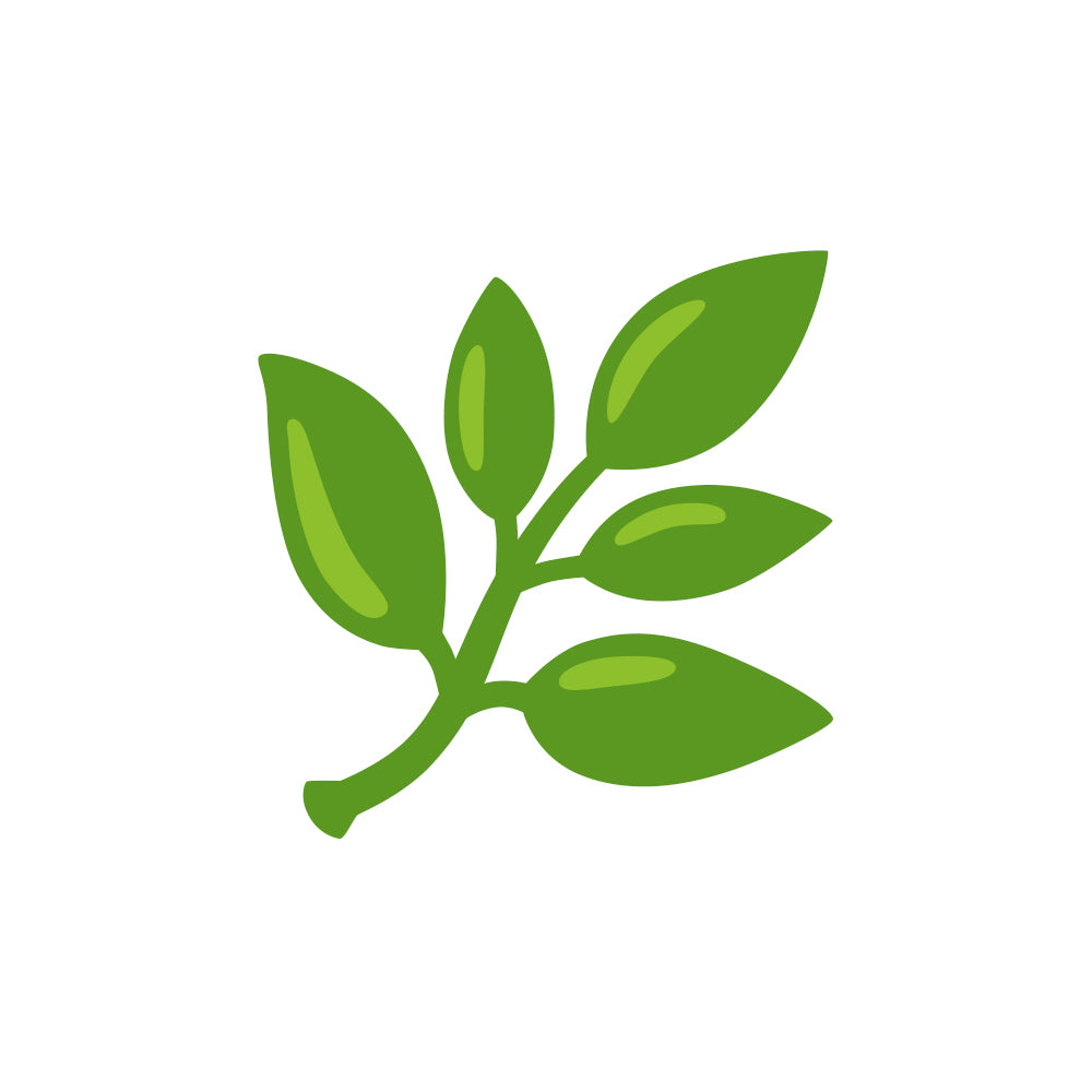 🌿Integrazione naturale e depurazione