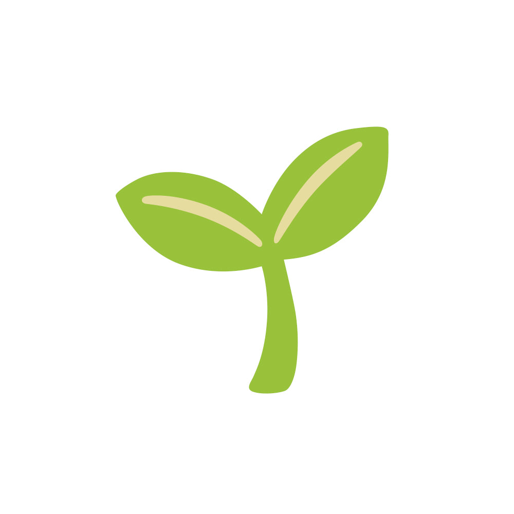 🌱 Detox e benessere intestino