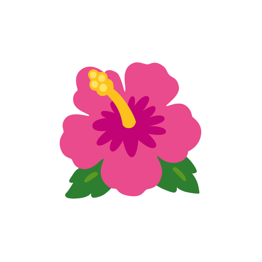 🌺 Protezione completa e vitalità donna